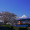 桜と富士と岳南電車
