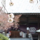 四国八十八ヵ所　第五十番札所・繁多寺2