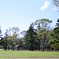 ２０１４．４．４　代々木公園