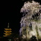 東寺 五重塔