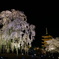 東寺 五重塔
