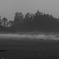DPP_0197