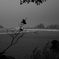 DPP_0213