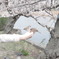 上野公園に集まる人懐っこいすずめ達と桜の木♪