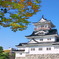 荒城の秋Ⅱ