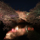 2014大岡川お花見散歩 13