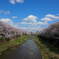 香流川緑道