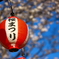桜まつり