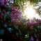spring！！