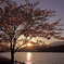 春の夕暮れ