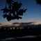 雨上がりの夕方