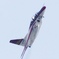 20080517・18RJNY静浜基地航空祭 202