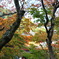 信貴山　朝護孫子寺