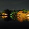 六義園ライトアップ