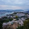 尾道の桜