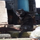 黒猫・舌ちょろ