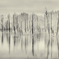 pond