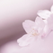 柔～春の息吹～