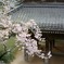 龍沢寺