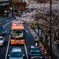 Bus&sakura