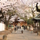 お寺境内