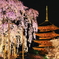 東寺