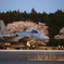 桜とイーグル
