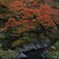 紅葉　中津峡②