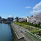 憩いのひととき
