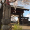 2014/04/05_観蔵院の桜