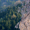 SAKURA*