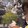 入園