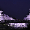 SAKURA Bridge