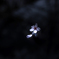 幻春