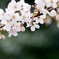 こっちを向いて。。。