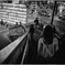Shibuya at Night #103