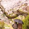 きっかけは「頭上注意」
