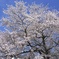 DSC01959