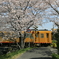 桜駅