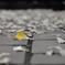 Alone