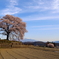 わに塚に咲く
