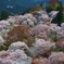 活気あふれる山