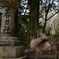 かゆいっ