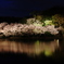 鏡桜