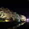 うぐい川の夜桜