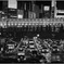 Shibuya at Night #119