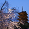 東寺
