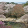吉野