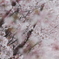 包容