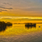 Matsushima